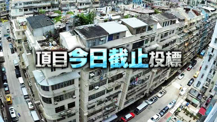 市建局土瓜灣鴻福街/銀漢街項目暫錄11份意向書