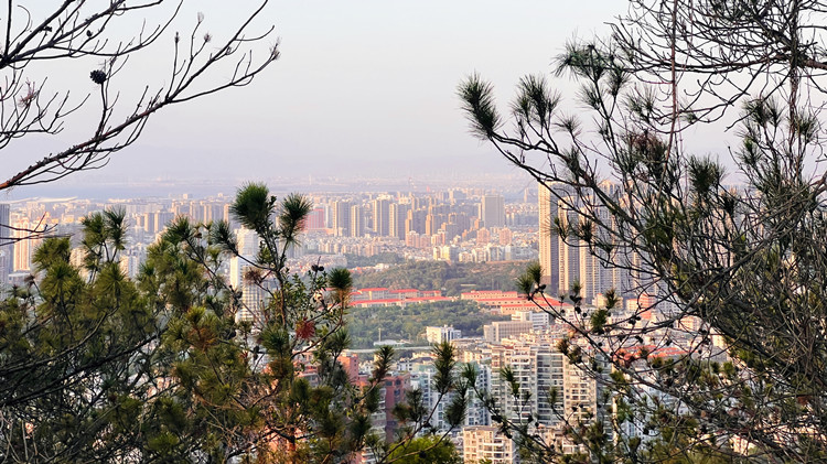 廈門出台若干措施 為疫情影響企業減負