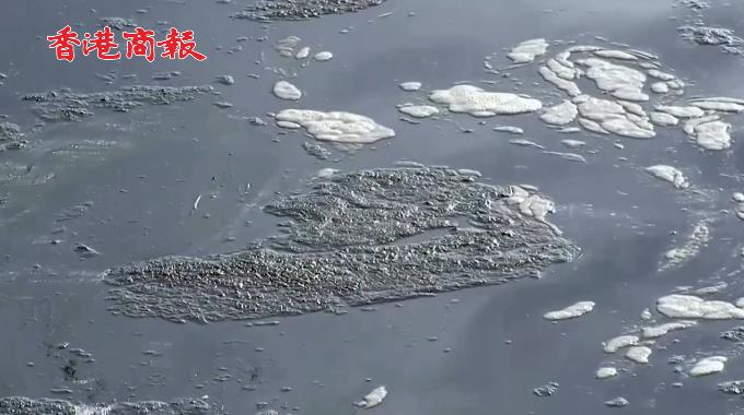 有片 | 美國加州大規模漏油疑因油管破損 當地猛烈抨擊近海鑽探