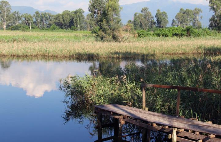 政府提出設立3個保育公園 環團促當局採取完整保育策略