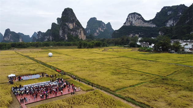 桂大新慶豐收節 助力鄉村旅遊發展
