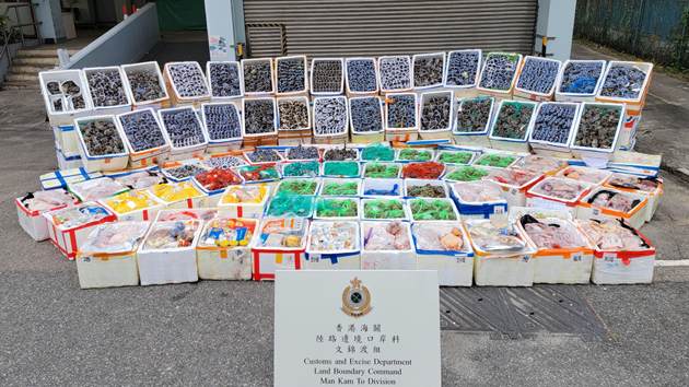 海關與食環署打擊懷疑走私大閘蟹 市值約153萬元