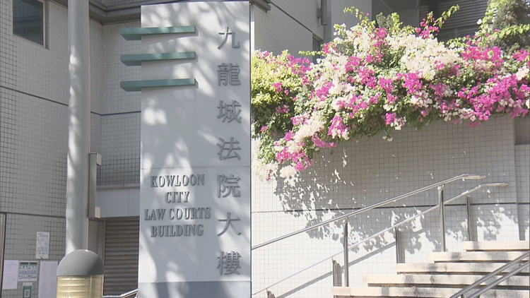 涉蒙面及向馬路掟磚 低智男子被判囚8星期