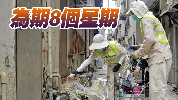 食環署下月1日在全港展開第二輪目標小區滅鼠行動