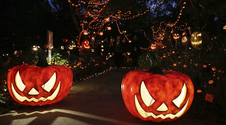 警方籲萬聖節期間 勿攜仿製槍械武器