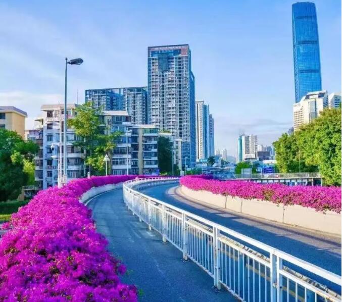 深圳這個超級論壇剛剛舉行 7位代表共同發出1個強音！