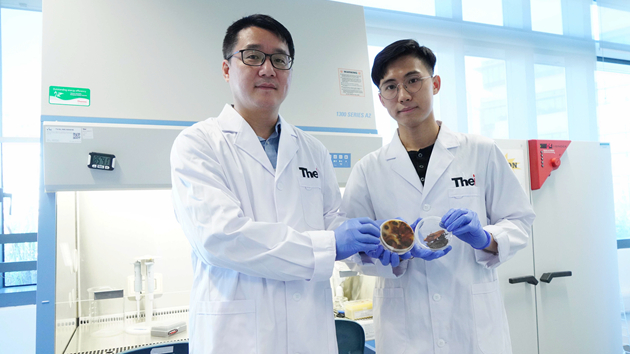 新技術速檢「樹癌」可節省近半時間