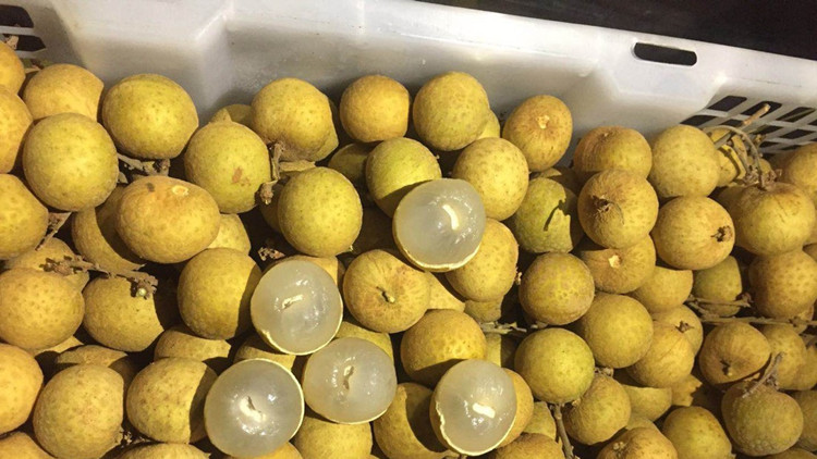 少量涉疫泰國龍眼流入山東日照  相關人員核酸均陰