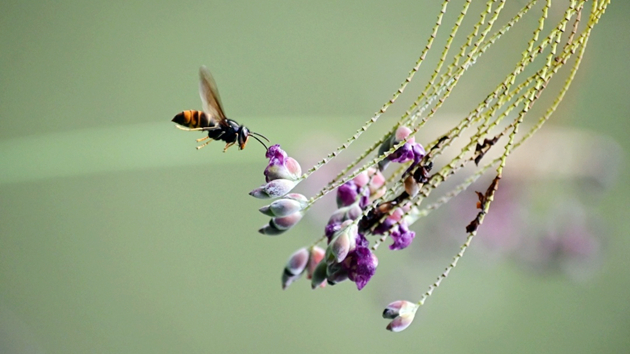 癌症康復者攝影展《生之讚》周末文化中心舉行