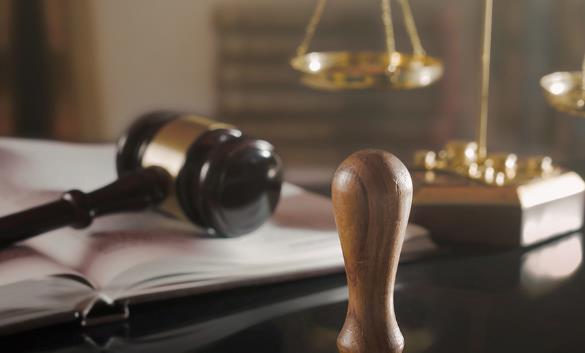 政府公布委任版權審裁處成員 12月1日起生效