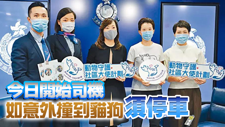 交通新例今生效 撞倒貓狗不停車最高判囚1年