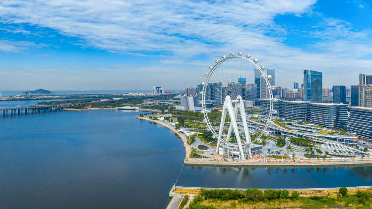 潮平兩岸闊 風正一帆懸  寶安未來已來