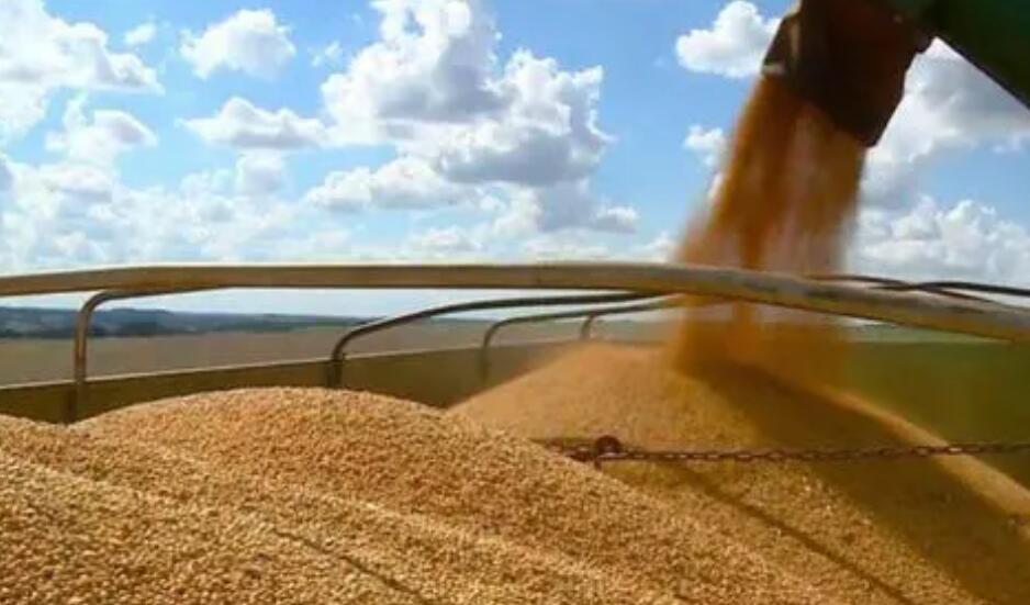 美國農產品期貨價格全線上漲