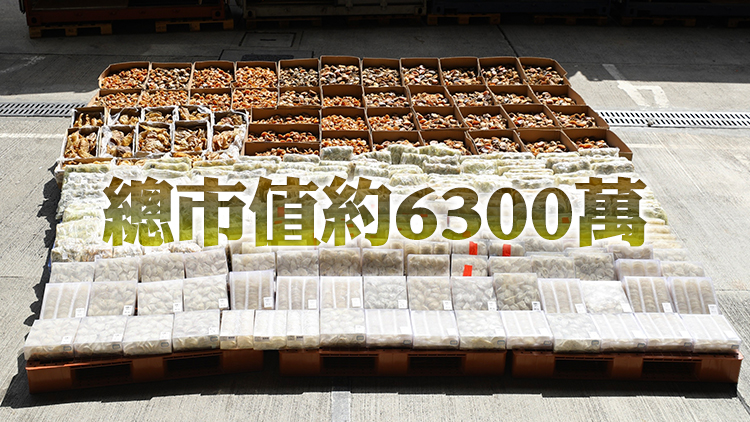 海關偵破利用貨櫃大型暗格走私案 檢值6300萬走私貨物