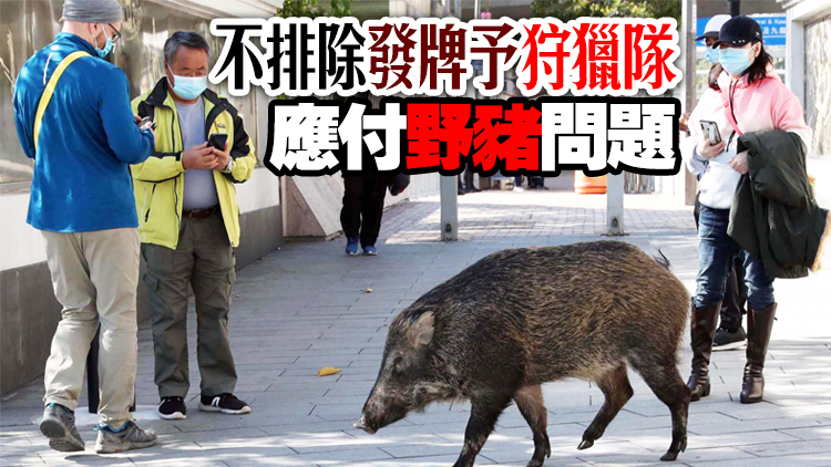 漁護署將採取新措市區捕捉野豬 研擴大禁餵範圍