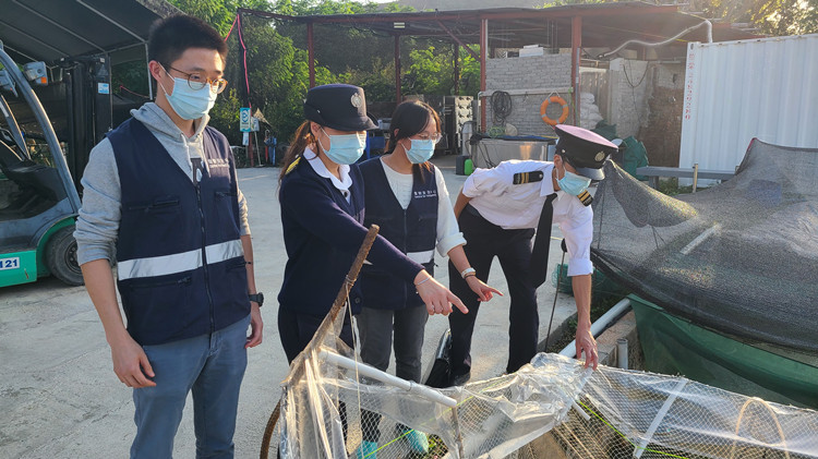 食環署查封千三隻來歷不明大閘蟹