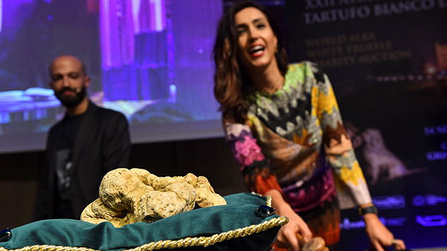 意大利拍賣巨型白松露 香港米芝蓮餐廳90萬天價投得