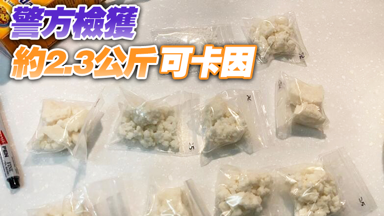 元朗男在住宅闢製毒工場被捕 警檢值320萬元可卡因