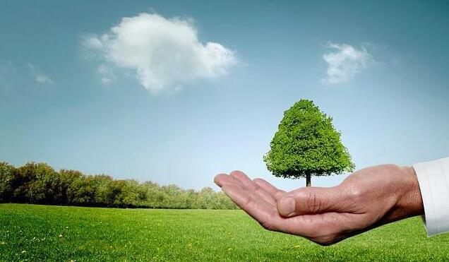 內地多領域碳達峰碳中和實施方案編制完成