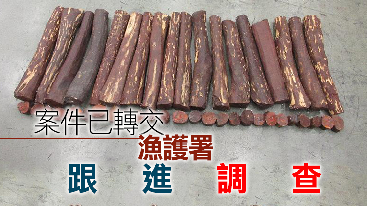 海關檢獲1930公斤懷疑受管制紫檀木材 市值963萬元