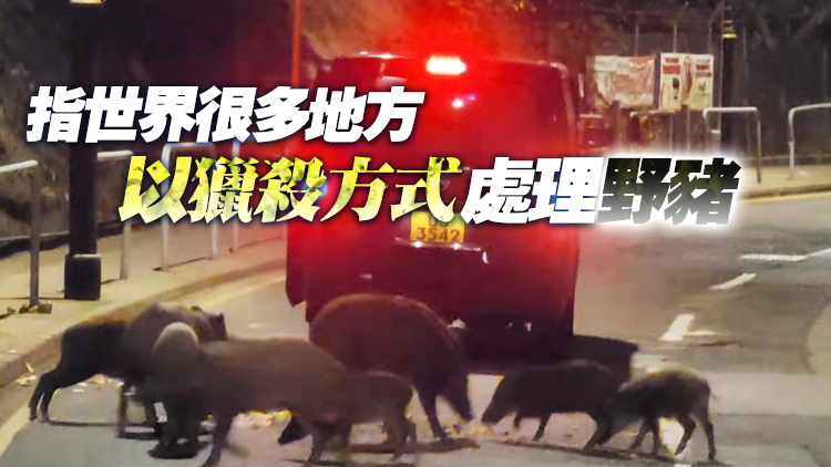 漁護署：捕捉及藥物人道毀滅目標野豬屬非常人道處理方式