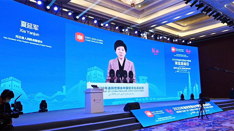 開拓中東市場   推進產能合作  河北省以加強與中東地區合作為重點   深度融入「一帶一路」建設