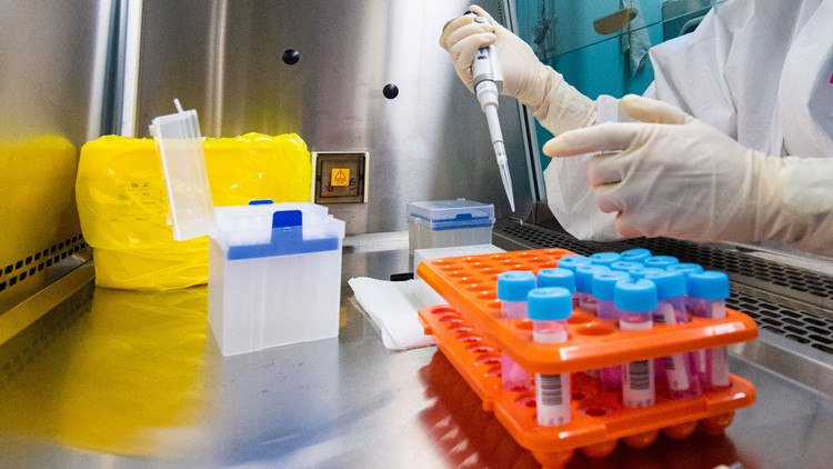 雲南隴川一區域調整為高風險  主城區非必要不進出