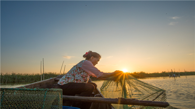 有片｜穗南沙舉辦水產種業及健康養殖中國工程科技論壇