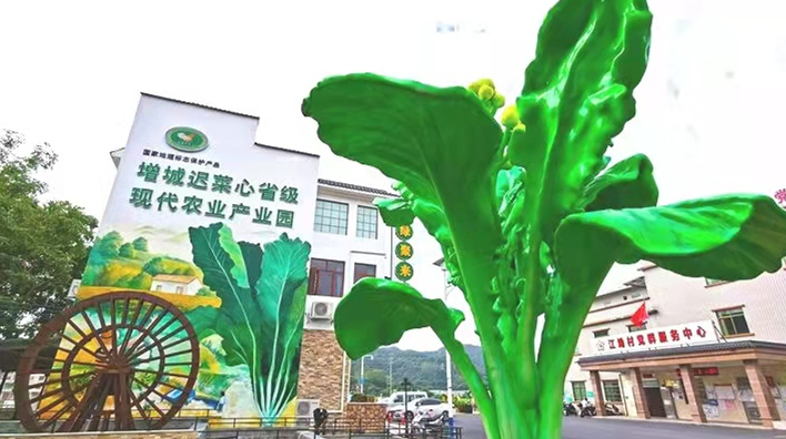 廣州增城：推新策促鄉村振興吸引港澳台青年融入發展