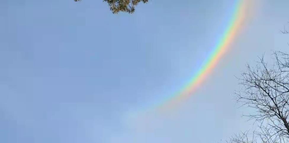 山東泰安現環天頂弧奇觀