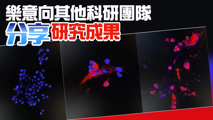 有片 | 港大已將Omicron分離病毒株送往科興及國藥 助疫苗研發