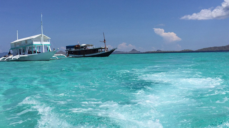 印尼弗洛勒斯海附近發生7.3級地震