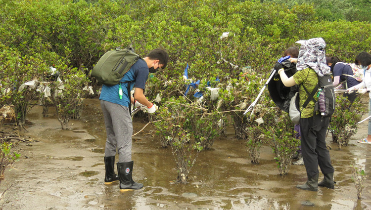 新地與綠色力量組「山‧灘拯救隊」 保護自然環境