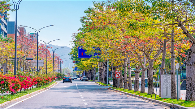 【深圳市福田區民生實事系列報道之五】福田營造「城市主客廳」花漾生活