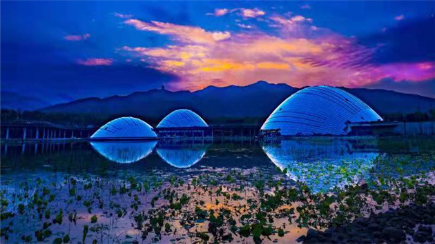 太原植物園連獲國際大獎