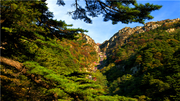 泰山景區榮膺中國智慧景區前十