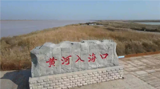 600萬隻鳥兒戀上黃河口