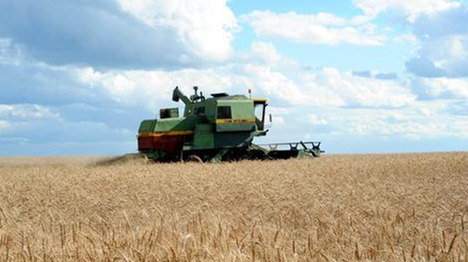 黑龍江海倫市糧食局原局長韓行占被查