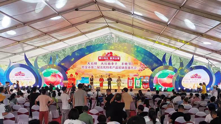 農業強 農民富 農村美 營口大石橋繪就鄉村振興壯美畫卷