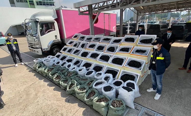 警方海關聯手搗破1700萬元走私海參案