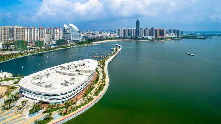 站位更高 視野更寬 湛江謀求發展新格局