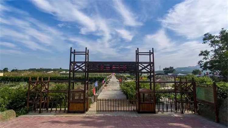 遼寧營口：農家「小書屋」精神「大糧倉」助力鄉村振興