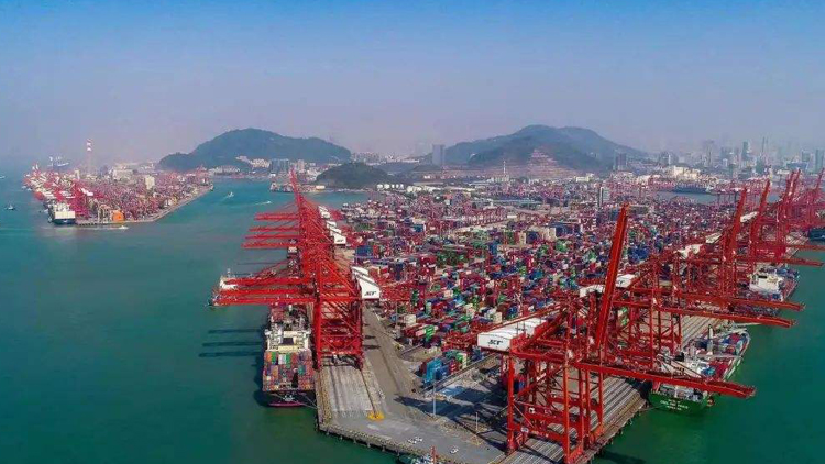1202萬標箱！深圳西部港區年吞吐量再創新高