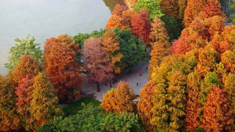 深圳龍崗區吉華街道相關區域解除管控