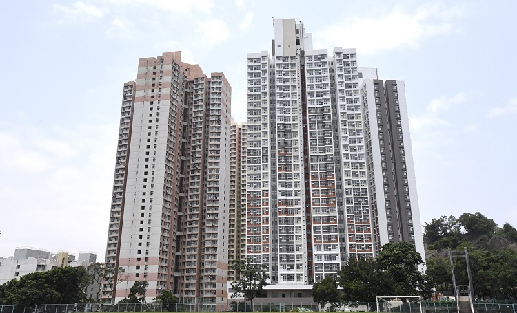 白居二市場買賣 去年為近22年最旺