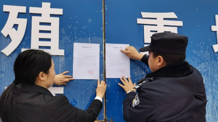 四川大熊貓國家公園生態法庭發出生態環境侵權禁止令