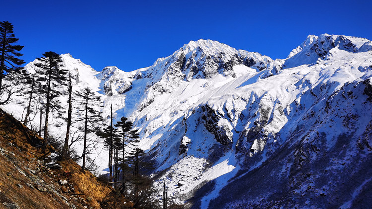 中國邊防部隊向印方移交一名非法進入中國領土人員