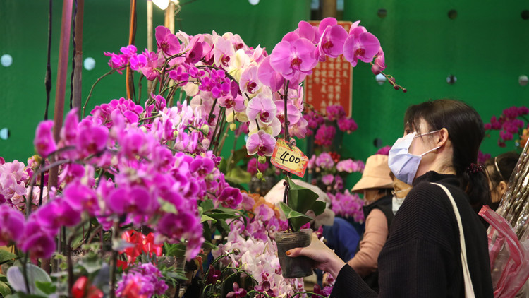 台岛提醒：人離火熄 平安迎新年