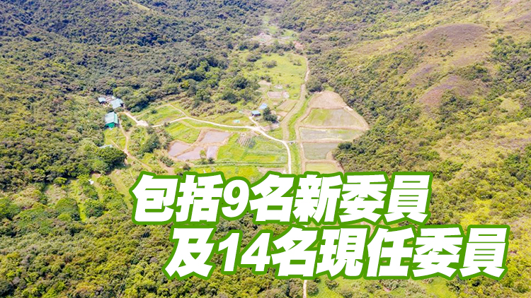 政府委任大嶼山發展委員會委員 任期兩年