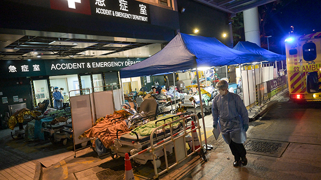 政界支持港府專注抗疫延後特首選舉